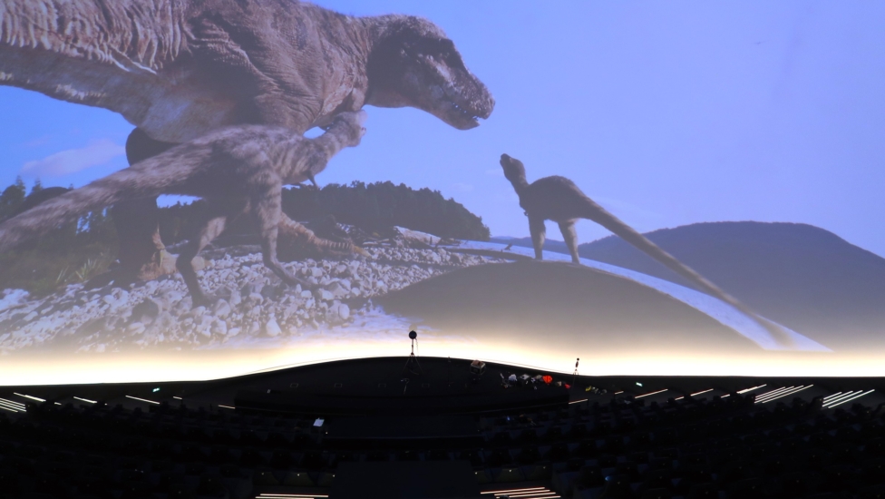 IMG_3612 retouchée TRex en vrai